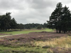 Sunningdale (New) 4th Iphone